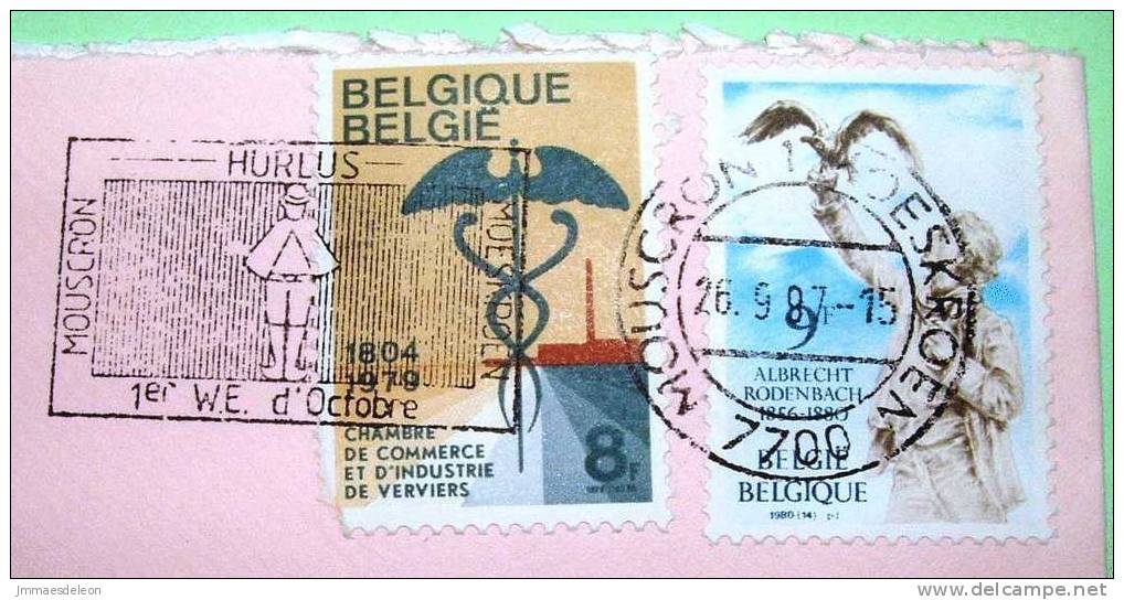 Belgium 1987 Cover Sent To Belgium - Commerce - Rodenbach Writter - Bird - Covers & Documents