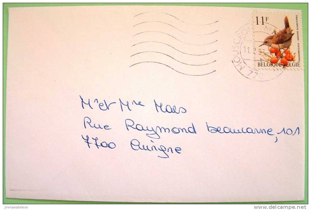 Belgium 1993 Cover Sent To Belgium - Birds - Lettres & Documents