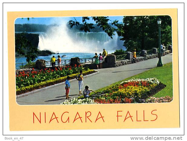 {69370} Canada Niagara Falls ; Chutes Du Niagara , Animée - Niagarafälle