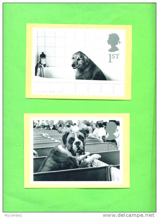 PHQ228 2001 Cats And Dogs - Set Of 10 Mint (6 Scanned) - Cartes PHQ