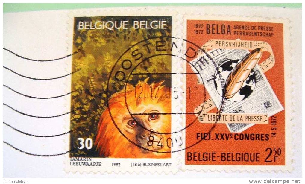 Belgium 2005 Cover Sent To Belgium - Tamarin Monkey - Newspapers - Press Liberty Freedom - Covers & Documents