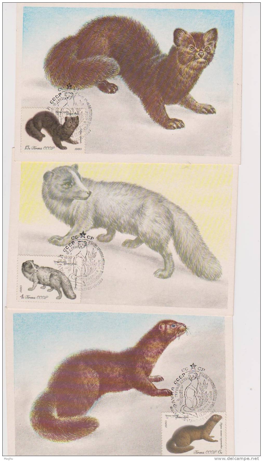 USSR-5 Maximum Cards, Maxi Cards, Animals -3 Scans-mammals Cats, Etc.,game, Rodents, Cm - Cartoline Maximum