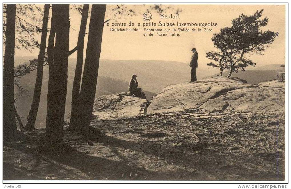 Luxembourg Berdorf Roltzbachheide Panorama Sur La Vallée De La Sûre Et Ernz Noire  Hotel Kinnen - Esch-Sauer