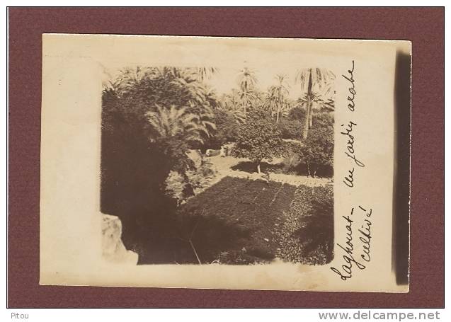 ALGERIE - LAGHOUAT - SUPERBE CARTE PHOTO - UN JARDIN ARABE CULTIVE - CLICHE 1900 - BEAU PLAN - Laghouat