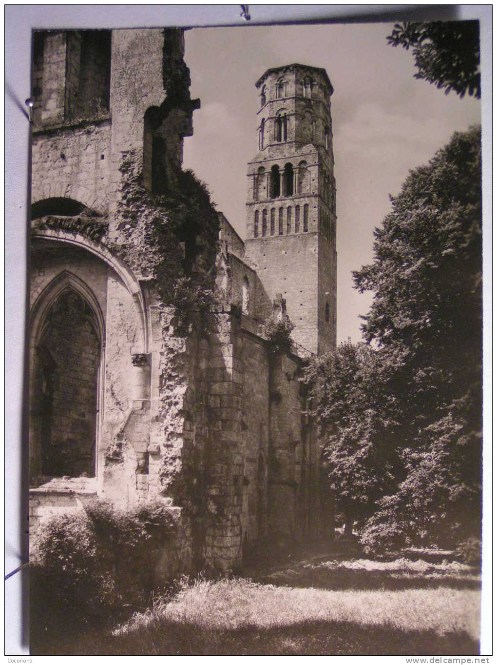 Jumièges - Ruines De L'Abbaye - Tour Sud De L'Eglise Notre Dame - Vue De L'est - Jumieges