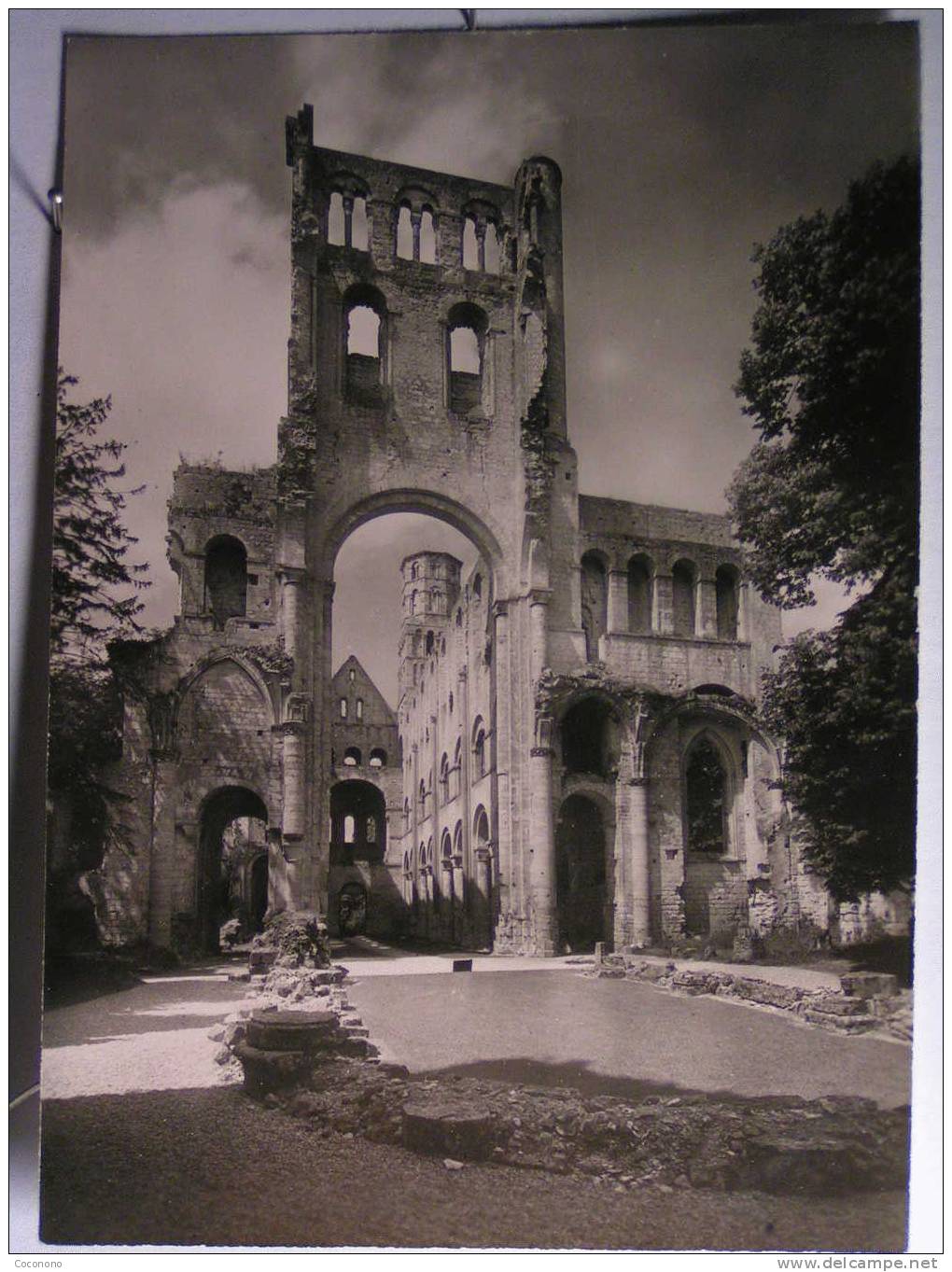 Jumièges - Ruines De L'Abbaye - Eglise Notre Dame - Nef, Vue De L'est - Jumieges