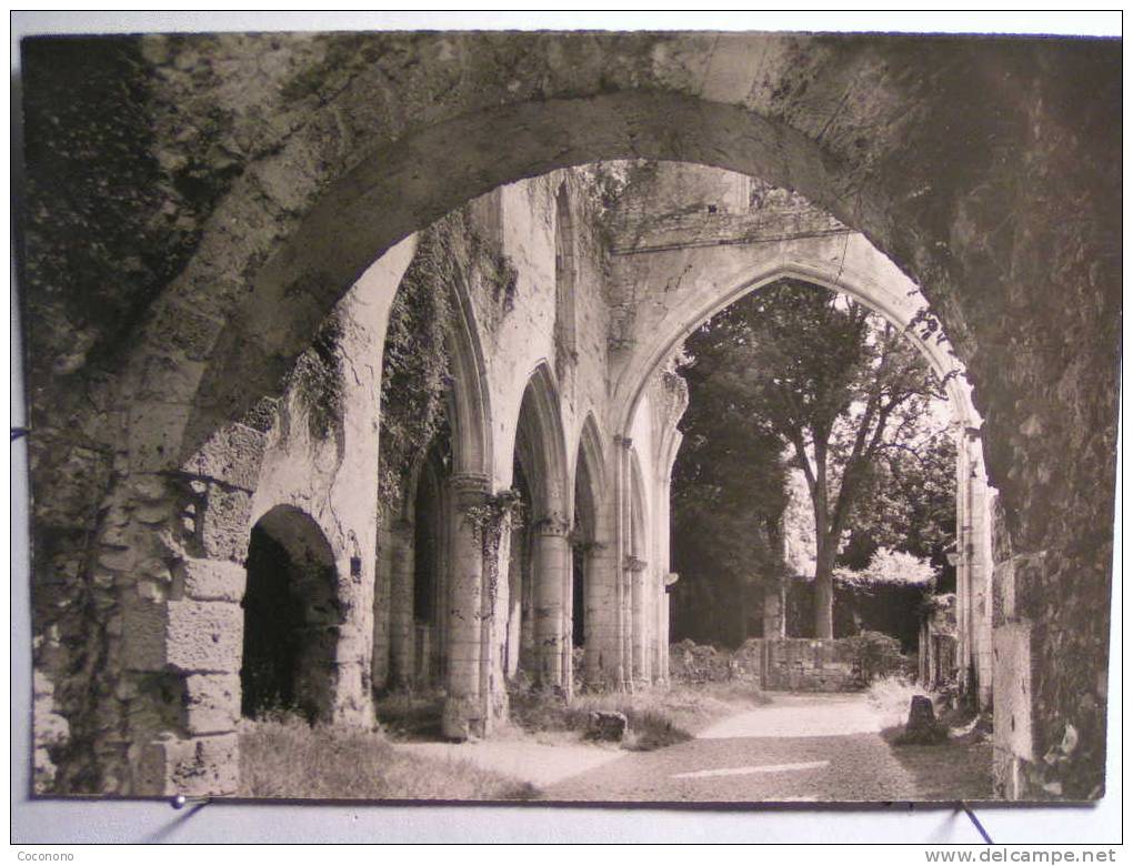 Jumièges - Ruines De L'Abbaye - Eglise St Pierre - Nef, Vue De L'ouest - Jumieges