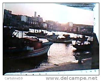 BISCEGLIA VEDUTA PORTO AL TRAMONTO  VB1969 CH1393 - Bisceglie