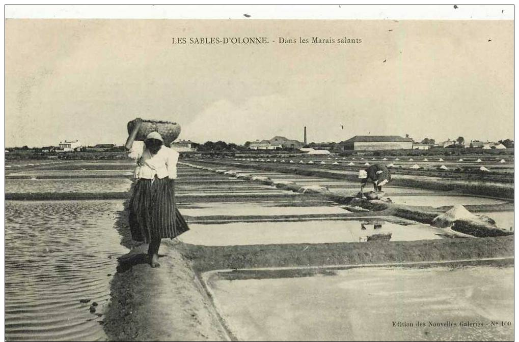 85- Les Sables D'Olonne Dans Les Marais Salants - Sables D'Olonne