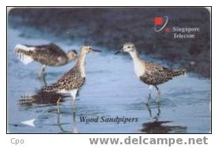 # SINGAPORE 25SIGB Wood Sandpipers 10 Landis&gyr -oiseaux,birds- Tres Bon Etat - Singapur