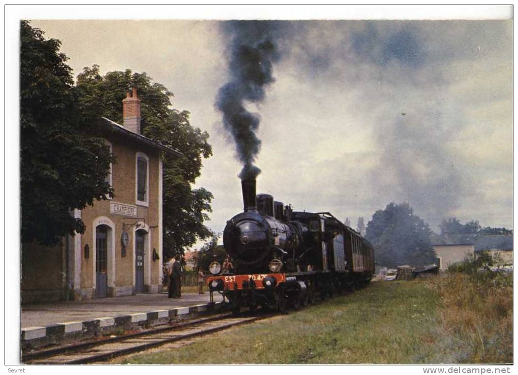 CHAMPIGNY Sur VEUDE - Le Train Touristique  Chinon - Richelieu.. Superbe Plan De Locomotive.CPM - Champigny-sur-Veude