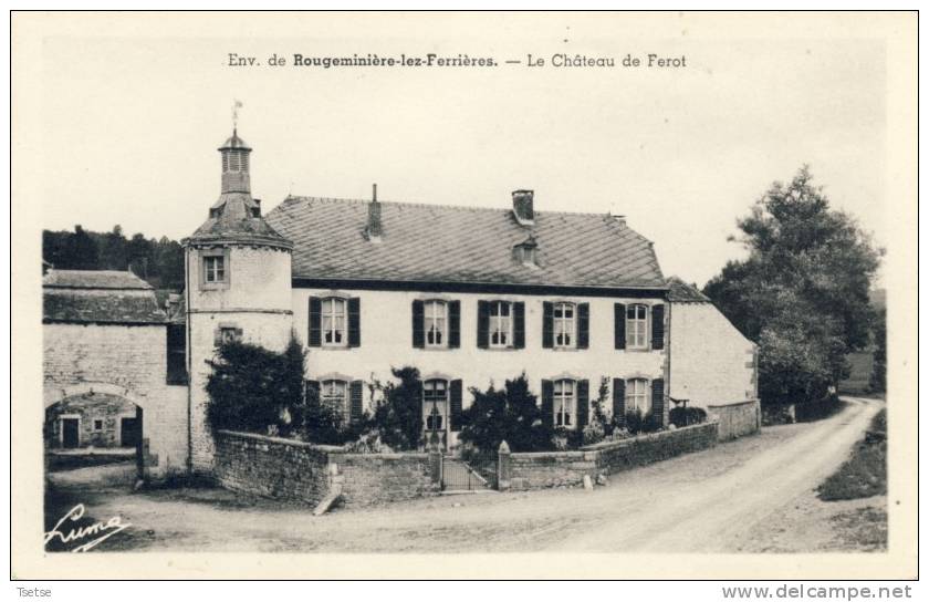 Rougeminière-lez-Ferrières - Le Château De Ferot - Ferrières