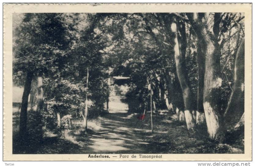 Anderlues - Parc De Timonpréat -1960 - Anderlues