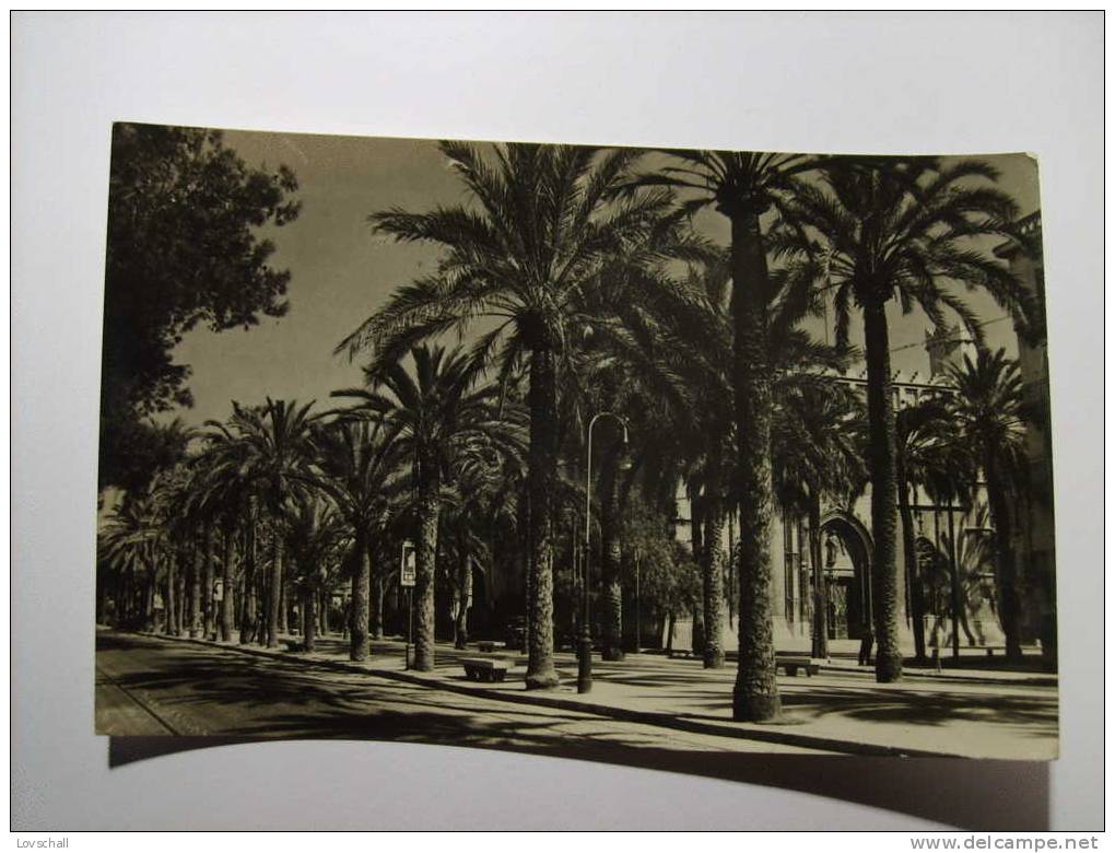 Palma De Mallorca. - Paseo Sagrera Y Lonja.  (9-7-1954) - Mallorca