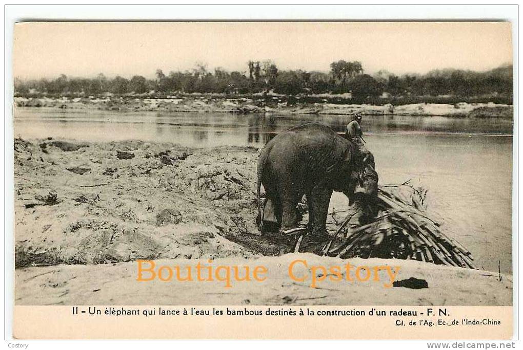 PACHYDERME  ELEPHANT - Construction D'un Radeau En Bambou - Dos Scané - Elephants