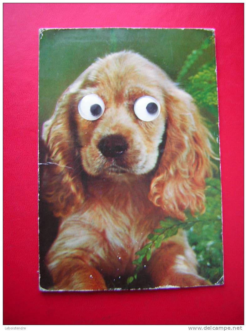 CPM OU CPSM -THEME MATERIAUX DIFFERENTS-CARTE D'UN CHIEN AVEC LES YEUX EN PLASTIQUE - Other & Unclassified