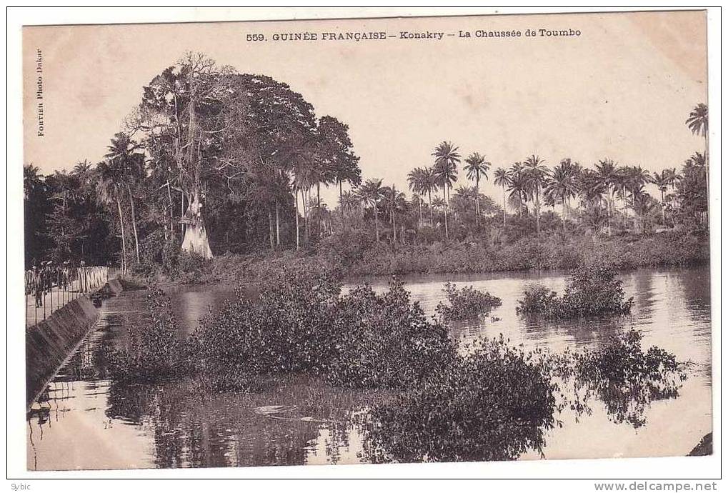 GUINEE FRANCAISE - Conakry - La Chaussée De Toumbo - Guinée Française