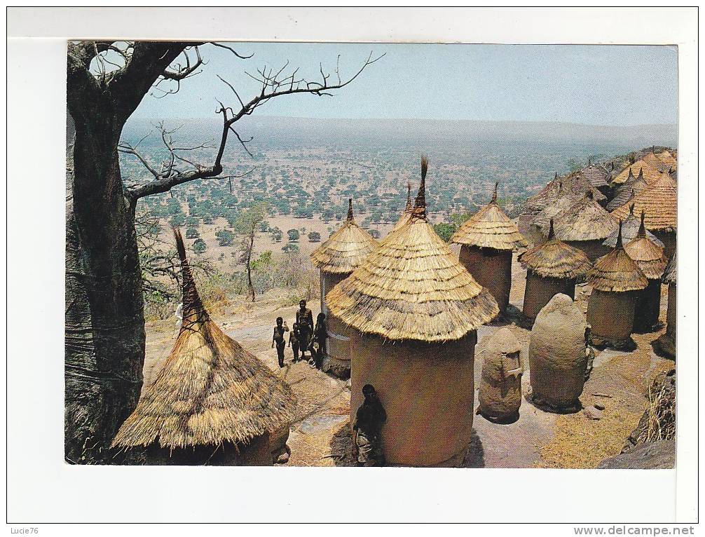 HAUTE VOLTA - Sud Ouest  -  Beauté Du Paysage Que Contemplent Les Habitants De  NANSOGONI - Burkina Faso