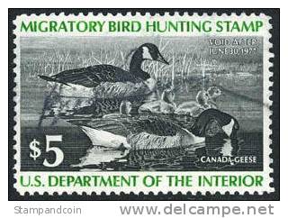 US RW43 Used Duck Stamp From 1976 - Duck Stamps