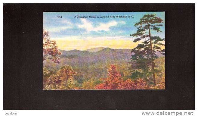 A Mountain Scene In Autumn Near Walhalla, S. C. - Altri & Non Classificati