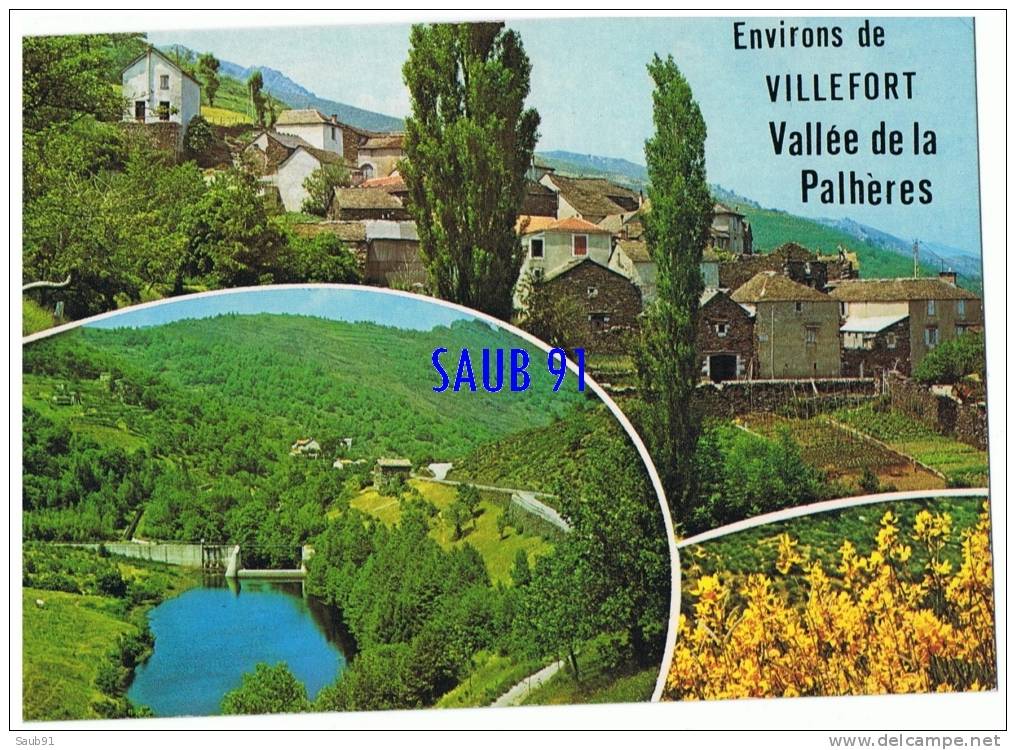 Villefort -  Environs De Villefort - Vallée De La Palhères -- Cellard,Z.265 -- Non Circulé-Réf:4221 - Villefort