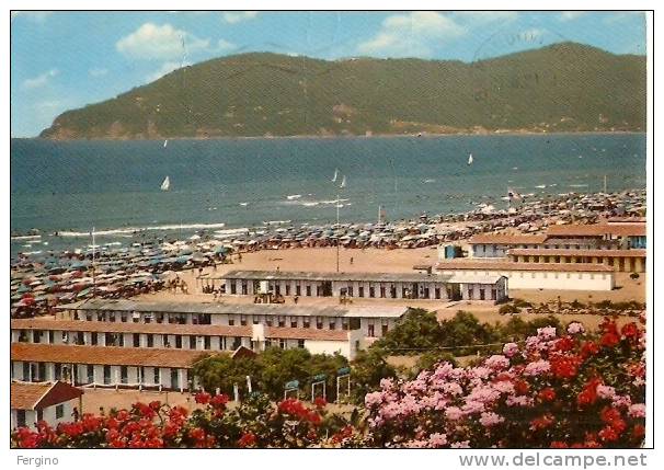 8038/FG/10 - MARINA DI CARRARA (MASSA CARRARA) - Spiaggia - Massa