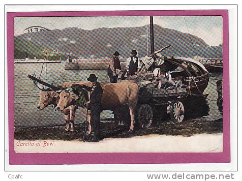 Suisse : Caretta Di Bovi , Attelage,transport De Pierre - Port