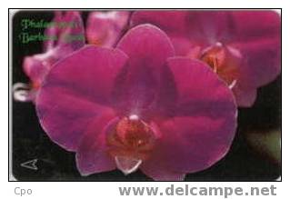 # SINGAPORE 83SIGB Phalaenopsis - Barbara Bush 10 Landis&gyr -fleurs,flowers-  Tres Bon Etat - Singapore