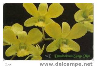 # SINGAPORE 83SIGA Dendrobium Singa Mas 10 Landis&gyr -fleurs,flowers-  Tres Bon Etat - Singapore