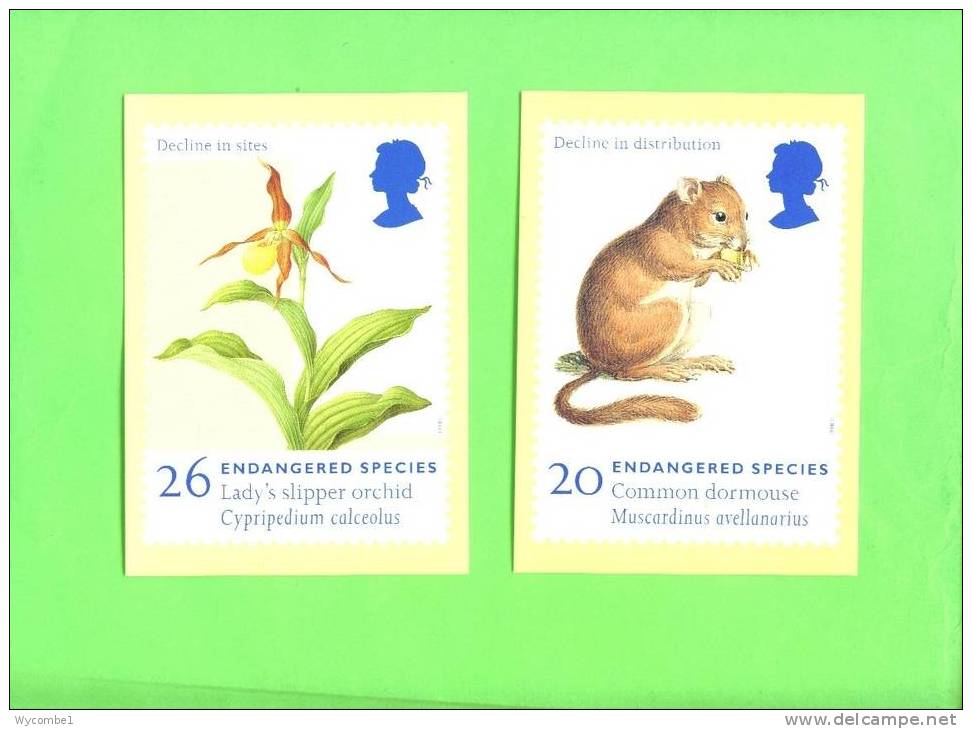 PHQ194 1998 Endangered Species - Set Of 6 Mint - Tarjetas PHQ
