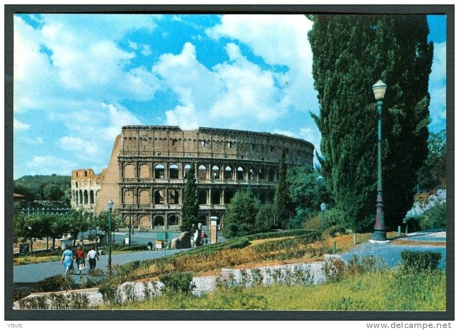 ROMA - ROME : Il Colosseo Dal Colle Oppio, Le Colossée Vu Du Col Oppium (non Circulée) - Colosseum