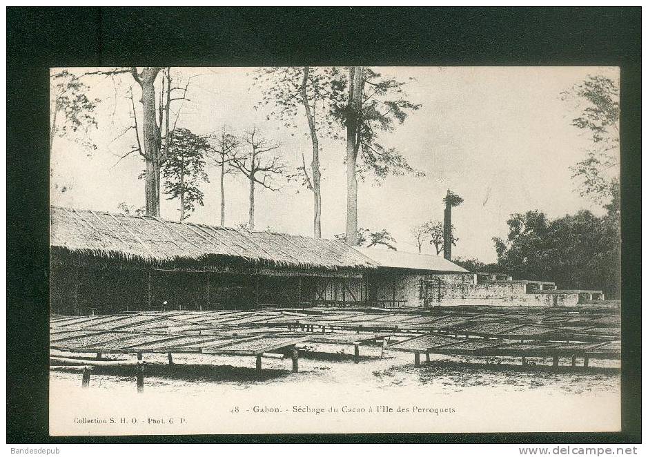 Gabon  - Séchage Du Cacao à L' Ile Des Perroquets ( Collection S.H.O. - Phot. G.P. 48) - Gabun