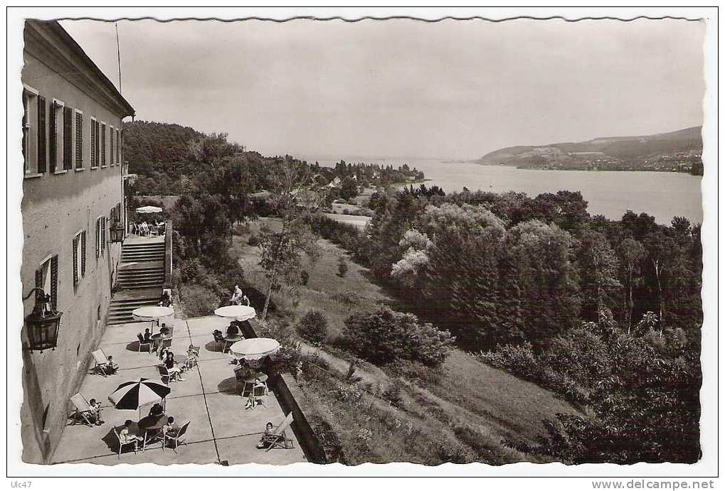 - Maison Familiale De MARBACH. Lac De Constance -  Cpsm - Tampon  "Postes Aux Armées" De 1957 - Scan - - Marbach