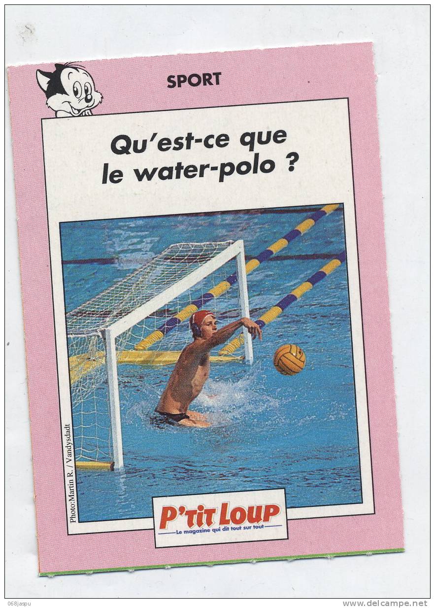 Fiche P'tit Loup Water-polo - Schwimmen