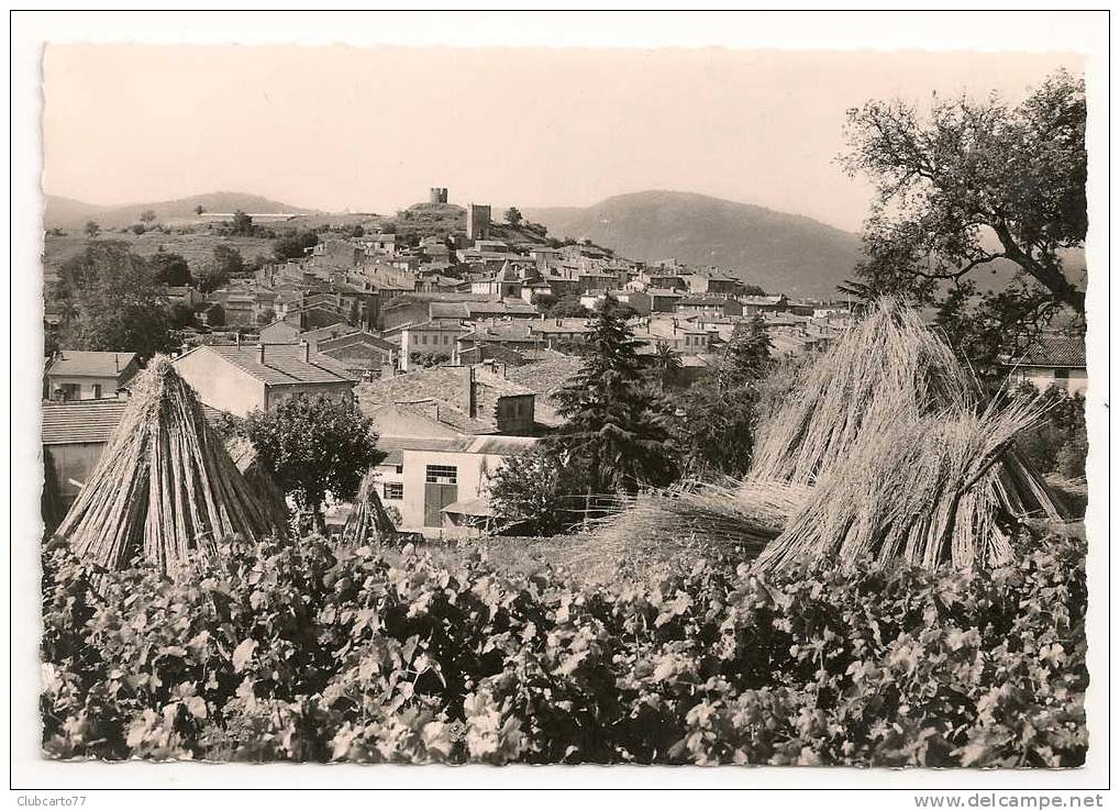 Cogolin (83) :  Séchage Des Cannes De Vanniers Et Vue Générale Environ 1950. - Cogolin