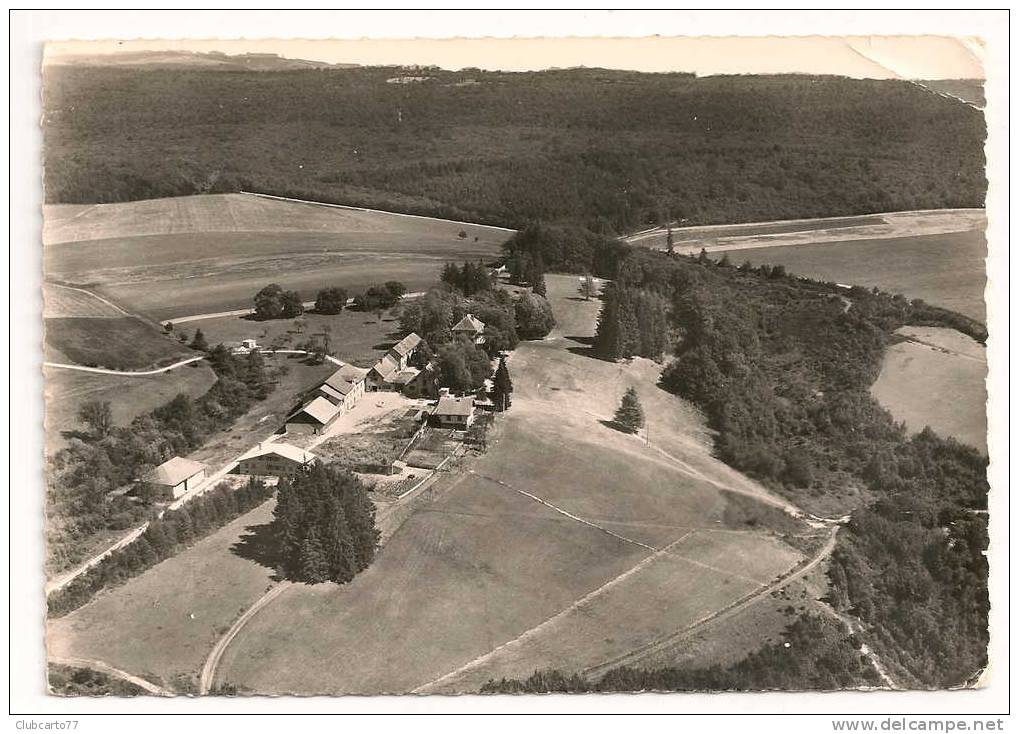 Roybon (38) : Vue Aérienne Sur La Colonie De Vacances Du Château Rocher En 1958. - Roybon