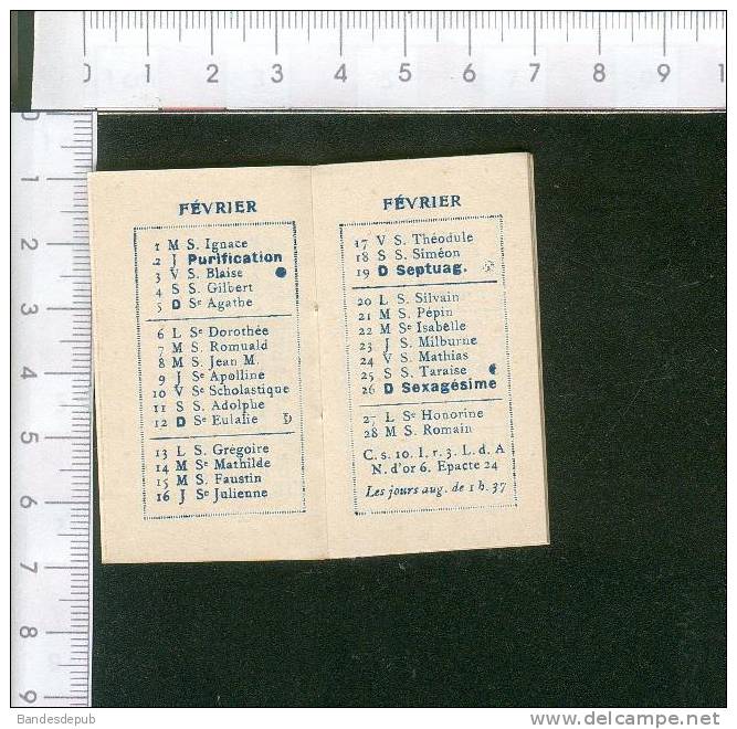 Petit Carnet Calendrier Chicorée Arlatte Thème Religion Vierge 1905 - Tamaño Pequeño : 1901-20