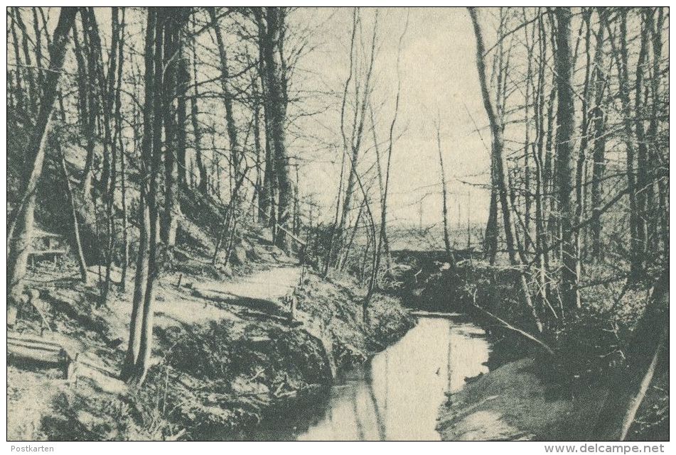 ALTE POSTKARTE HÜTTRUP BEI GREVEN NATURFREUNDEHAUS DER ORTSGRUPPE MÜNSTER WESTFALEN Pfadfinder Boy Scout Ansichtskarte - Greven