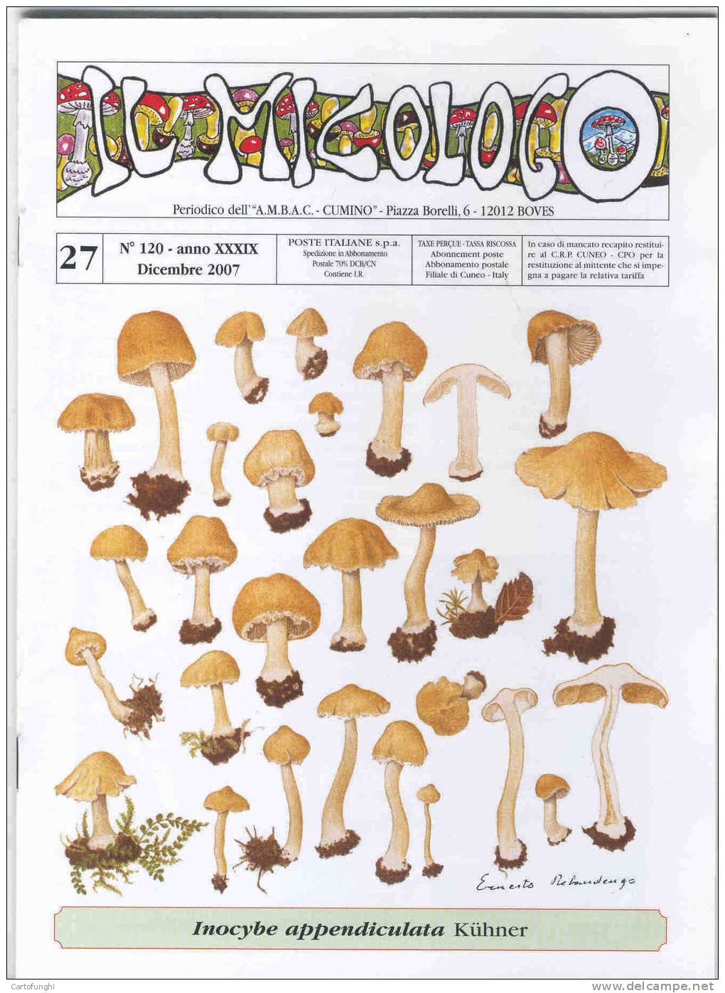 IL MICOLOGO NR.27 DICEMBRE 2007  INOCYBE APPENDICULATA KOHNER –TAV. ERNESTO REBAUDENGO (SCALA 1 :1 ) FUNGHI CHAMPIGNONS - Altri & Non Classificati