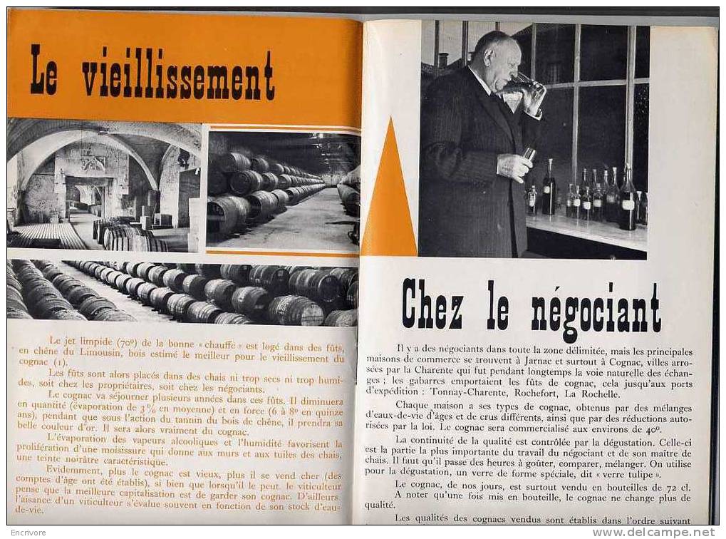 BT 677 Le COGNAC Crus Vendanges Paquebot Lancement QUEEN ELISABETH 2 Albert CAMUS - Poitou-Charentes