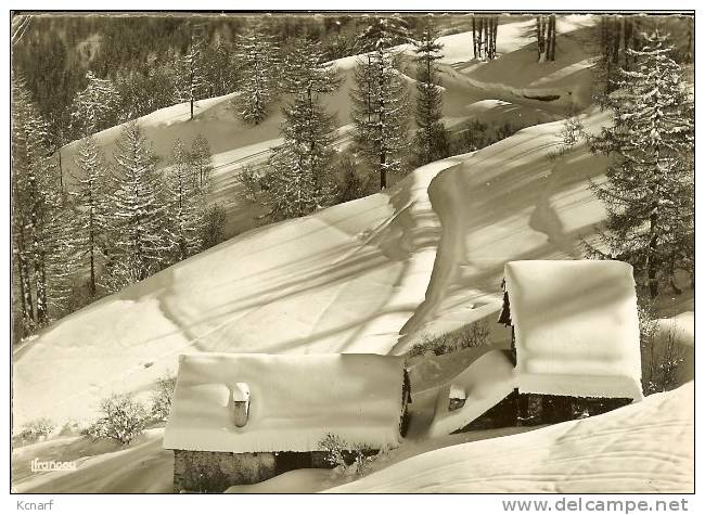 CP Des Chalets De CHAMPCELLA " Piste Du Lièvre Blanc / Téléphérique De SERRE-CHEVALIER " . - L'Argentiere La Besse