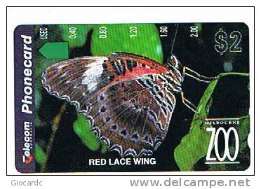 RIF.3 AUSTRALIA - TELECOM AUSTRALIA  - MELBOURNE ZOO (RED LACE WING)  - NUOVA  (MINT) - Papillons