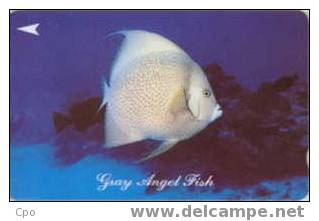 # SINGAPORE 28SIGA Gray Angel Fish 10 Landis&gyr -fish,poisson-  Tres Bon Etat - Singapore