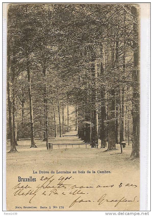 BRUXELLES - La Drève De Lorraine Au Bois De La Cambre  -  Naar Java - 4 Afstempelingen - Forêts, Parcs, Jardins