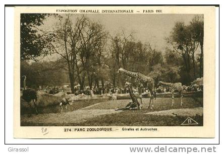 CPSM GIRAFES ET AUTRUCHE  Exposition Coloniale Internationale PARIS 1931 Parc Zoologique - Giraffes