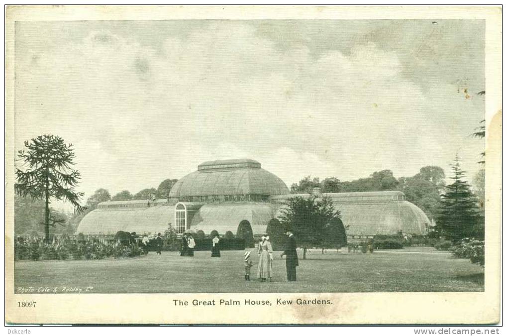 Kew Gardens - The Great Palm House - Surrey