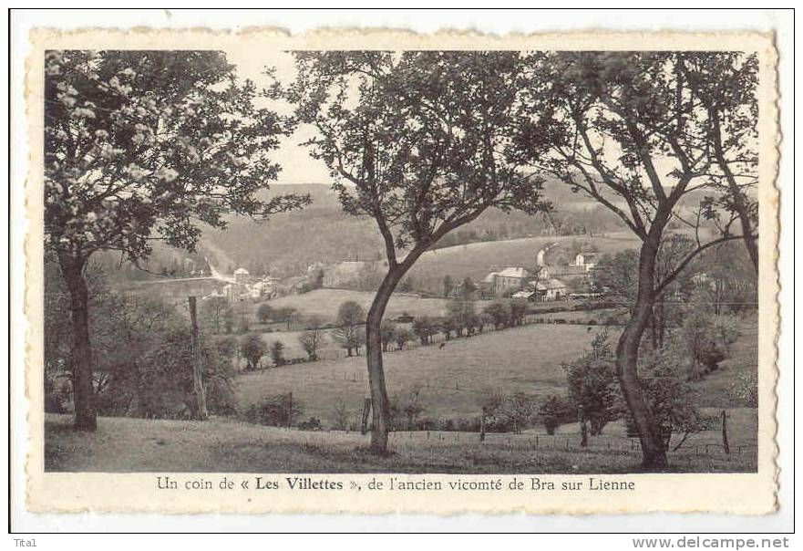 13325 - Un Coin De "Les Villettes" - Lierneux