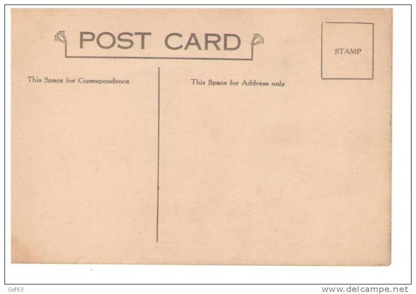 Results Of Tornado Near Syracuse, New York ° Sept. 15. 1912 - Disasters