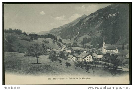 CH HAUT INTYAMON  MONTBOVON /    Vallée De La Gruyère    / - Montbovon