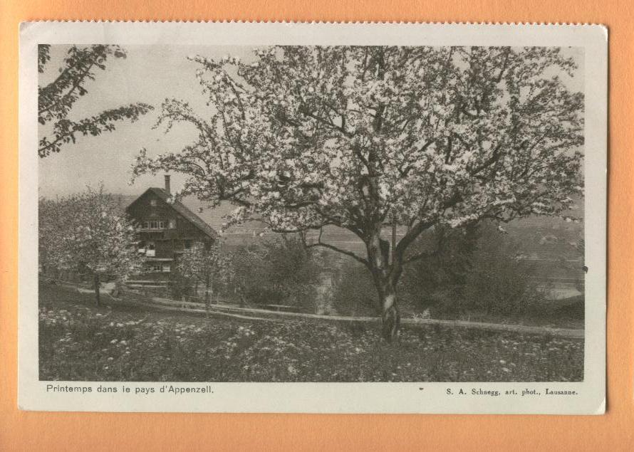 H1222 Frühling Im Appenzell-Land.Gelaufen. Schnegg - Appenzell